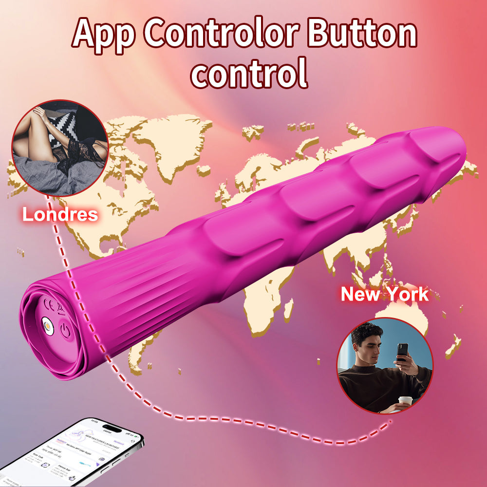 Remote Control Sex Toys